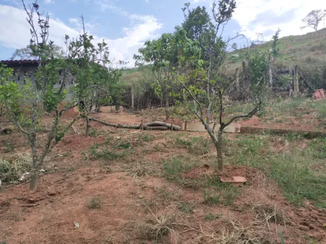 imagem 4 - Rural - Fazenda, Sítio e Chácara imagem 4 - Rural - Fazenda, Sítio e Chácara