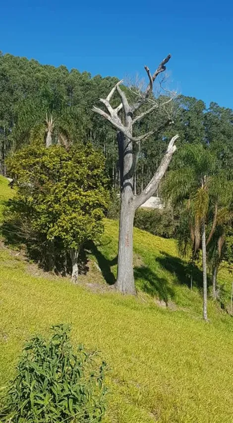 imagem 2 - Terreno - Condomínio imagem 2 - Terreno - Condomínio