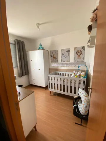 imagem 5 - Apartamento - Campo das Tulipas - 2 dormitórios - ótima localização imagem 5 - Apartamento - Campo das Tulipas - 2 dormitórios - ótima localização