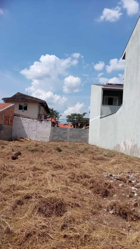 imagem 3 - terreno plano pronto para construir bairro super valorizado imagem 3 - terreno plano pronto para construir bairro super valorizado