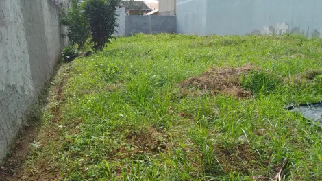 imagem 5 - terreno plano pronto para construir bairro super valorizado imagem 5 - terreno plano pronto para construir bairro super valorizado