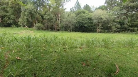 imagem 1 - Terreno no condomínio Recanto Santa Bárbara (Jambeiro) - ótima topografia / quadra D imagem 1 - Terreno no condomínio Recanto Santa Bárbara (Jambeiro) - ótima topografia / quadra D