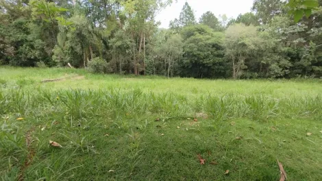 imagem 3 - Terreno no condomínio Recanto Santa Bárbara (Jambeiro) - ótima topografia / quadra D imagem 3 - Terreno no condomínio Recanto Santa Bárbara (Jambeiro) - ótima topografia / quadra D