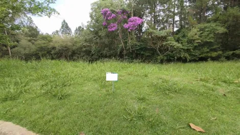 imagem 4 - Terreno no condomínio Recanto Santa Bárbara (Jambeiro) - ótima topografia / quadra D imagem 4 - Terreno no condomínio Recanto Santa Bárbara (Jambeiro) - ótima topografia / quadra D