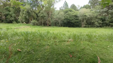 imagem 3 - Terreno no condomínio Recanto Santa Bárbara (Jambeiro) - ótima topografia / quadra D imagem 3 - Terreno no condomínio Recanto Santa Bárbara (Jambeiro) - ótima topografia / quadra D