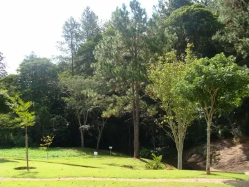 imagem 5 - Terreno no condomínio Recanto Santa Bárbara (Jambeiro) - ótima topografia / quadra D imagem 5 - Terreno no condomínio Recanto Santa Bárbara (Jambeiro) - ótima topografia / quadra D
