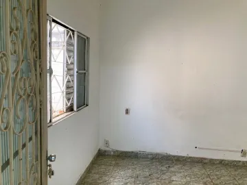 imagem 4 - Ótima Oportunidade: Casa Ampla com Edícula no Jardim São Vicente - Investimento Imperdível! imagem 4 - Ótima Oportunidade: Casa Ampla com Edícula no Jardim São Vicente - Investimento Imperdível!