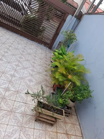 imagem 4 - CASA COM 4 DORM NA ARÉA TRANQUILA DO BAIRRO VISTA VERDE imagem 4 - CASA COM 4 DORM NA ARÉA TRANQUILA DO BAIRRO VISTA VERDE