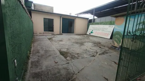 imagem 2 - Edícula no bosque dos eucaliptos com 250 metros na avenida cidade jardim imagem 2 - Edícula no bosque dos eucaliptos com 250 metros na avenida cidade jardim