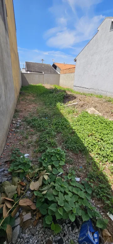 imagem 2 - Excelente  terreno plano no Santa julia em otima localização imagem 2 - Excelente  terreno plano no Santa julia em otima localização
