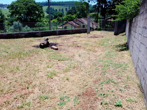 imagem 4 - Otimo terreno em Jambeiro ,  ao lado do Residencial Santa Barbara, murado, com escritura definitiva, pronto para construir. imagem 4 - Otimo terreno em Jambeiro ,  ao lado do Residencial Santa Barbara, murado, com escritura definitiva, pronto para construir.