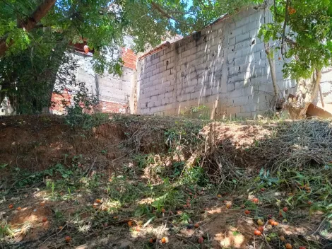 imagem 3 - lote de 250m² zoneamento misto, bairro em ampla valorização imagem 3 - lote de 250m² zoneamento misto, bairro em ampla valorização