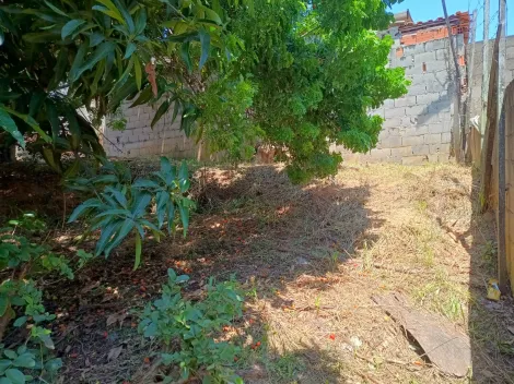imagem 4 - lote de 250m² zoneamento misto, bairro em ampla valorização imagem 4 - lote de 250m² zoneamento misto, bairro em ampla valorização