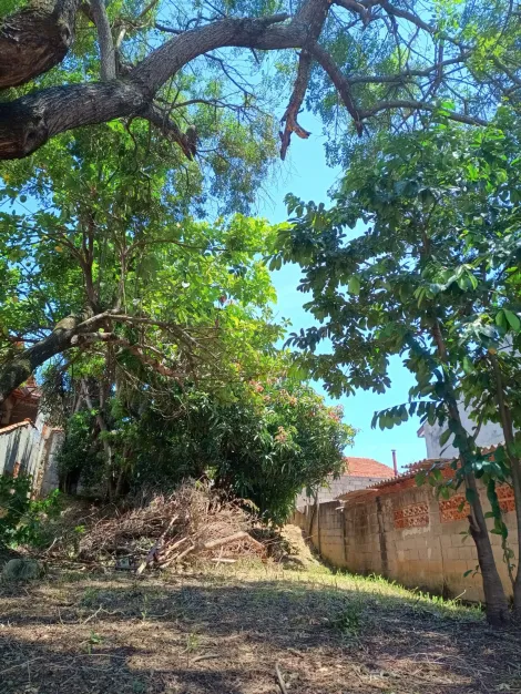 imagem 5 - lote de 250m² zoneamento misto, bairro em ampla valorização imagem 5 - lote de 250m² zoneamento misto, bairro em ampla valorização