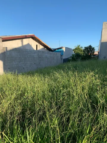 imagem 2 - Terreno no Santa Júlia - Ótima Oportunidade para Construir ou Investir! imagem 2 - Terreno no Santa Júlia - Ótima Oportunidade para Construir ou Investir!