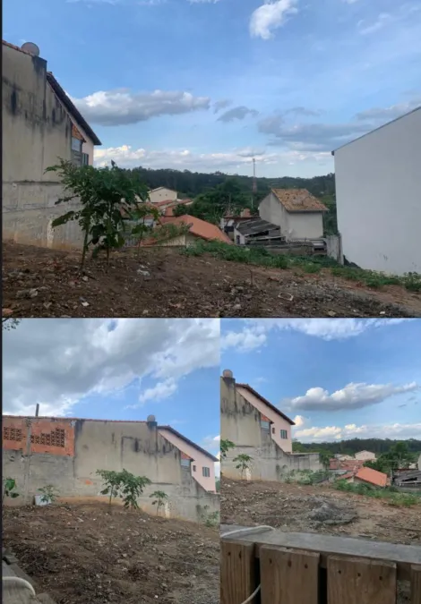 imagem 4 - TERRRENO NO INTERLAGOS 339 M2 MURADO  PRÓXIMO DE COMERCIO, SUPERMERCADO ROSALINA. imagem 4 - TERRRENO NO INTERLAGOS 339 M2 MURADO  PRÓXIMO DE COMERCIO, SUPERMERCADO ROSALINA.