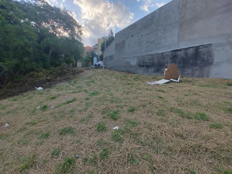 imagem 5 - Terreno  442m2  - Bairro Jardim República imagem 5 - Terreno  442m2  - Bairro Jardim República