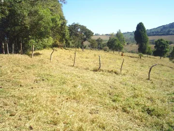 imagem 5 - SITIO COM 14 HECTARES  PASTO FORMADO E BOM ACESSO PARA CHEGAR. imagem 5 - SITIO COM 14 HECTARES  PASTO FORMADO E BOM ACESSO PARA CHEGAR.