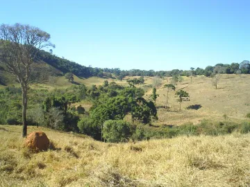 imagem 2 - SITIO COM 14 HECTARES  PASTO FORMADO E BOM ACESSO PARA CHEGAR. imagem 2 - SITIO COM 14 HECTARES  PASTO FORMADO E BOM ACESSO PARA CHEGAR.