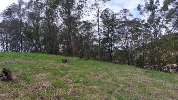 imagem 3 - TERRENO DE 8 MIL m² - EM PARAIBUNA-  FUNDO DE 100 METROS PARA O RIO imagem 3 - TERRENO DE 8 MIL m² - EM PARAIBUNA-  FUNDO DE 100 METROS PARA O RIO
