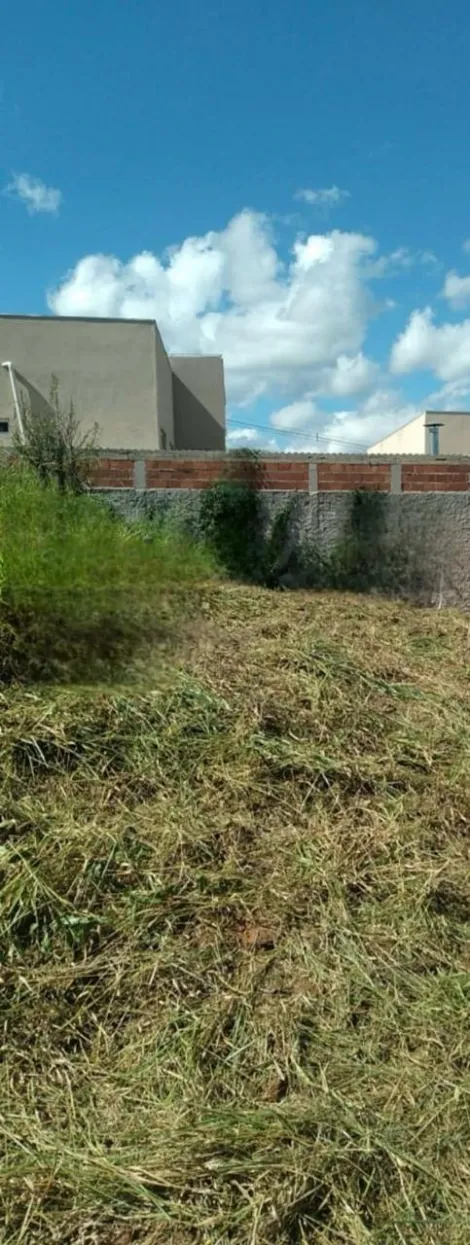 imagem 2 - Ótimo terreno, liberado p construir, já Visinho ao lado imagem 2 - Ótimo terreno, liberado p construir, já Visinho ao lado