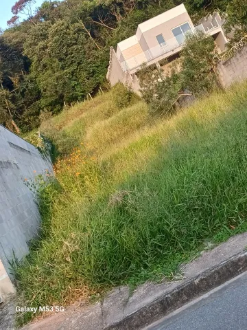 imagem 5 - EXCELENTE TERRENO COM ESCRITURA, NO POUSADA DO VALE, RUA ASFALTADA. imagem 5 - EXCELENTE TERRENO COM ESCRITURA, NO POUSADA DO VALE, RUA ASFALTADA.