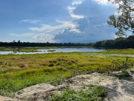 imagem 2 - Fazenda muito bem organizada no município de Tremembé imagem 2 - Fazenda muito bem organizada no município de Tremembé