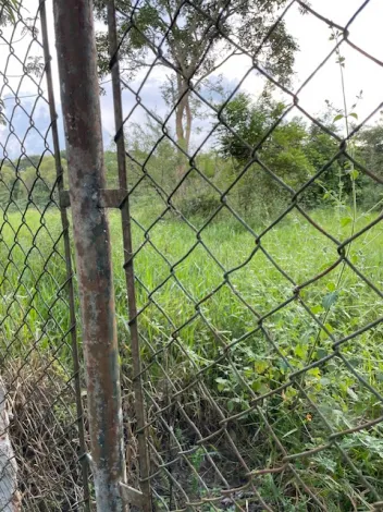 imagem 4 - Fazenda muito bem organizada no município de Tremembé imagem 4 - Fazenda muito bem organizada no município de Tremembé