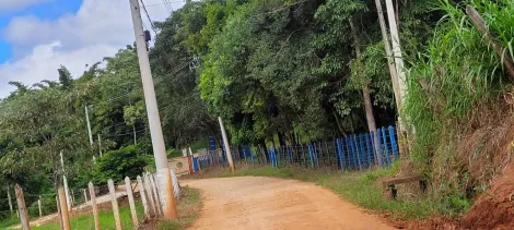 imagem 3 - Sítio com 38.643m² na estrada da Baraceia - Taubaté, próximo a Igreja São Pedro. imagem 3 - Sítio com 38.643m² na estrada da Baraceia - Taubaté, próximo a Igreja São Pedro.
