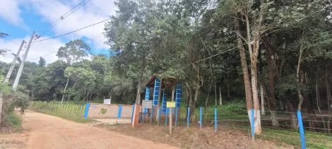 imagem 4 - Sítio com 38.643m² na estrada da Baraceia - Taubaté, próximo a Igreja São Pedro. imagem 4 - Sítio com 38.643m² na estrada da Baraceia - Taubaté, próximo a Igreja São Pedro.