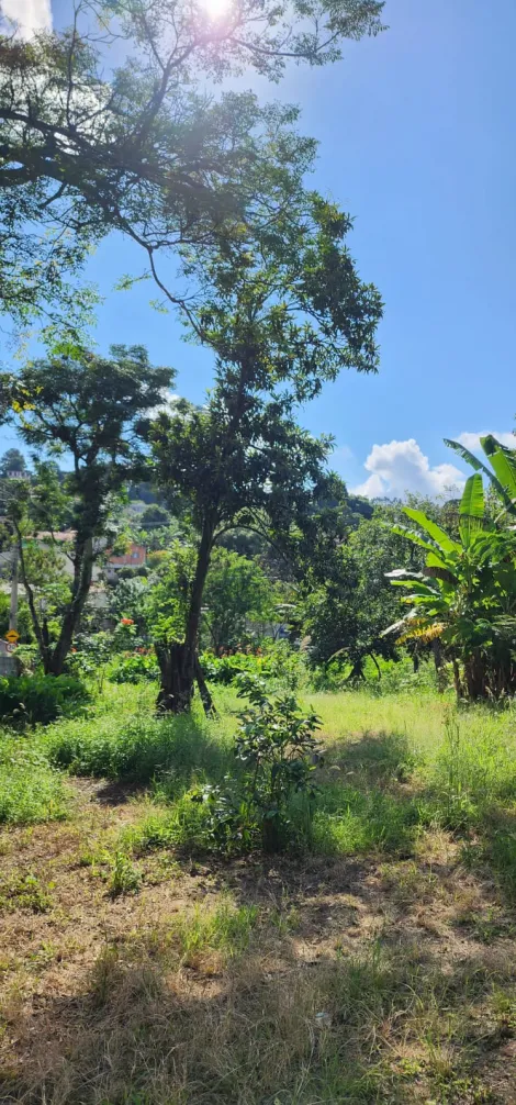imagem 3 - ÓTIMO TERRENO EM EXCELENTE LOCALIZAÇÃO PERTO DE TUDO QUE VOCE PRECISA imagem 3 - ÓTIMO TERRENO EM EXCELENTE LOCALIZAÇÃO PERTO DE TUDO QUE VOCE PRECISA
