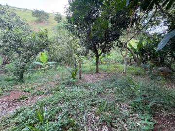 imagem 5 - Excelente terreno para Chacara, rua asfaltada, estuda parcelamento direto imagem 5 - Excelente terreno para Chacara, rua asfaltada, estuda parcelamento direto