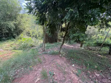 imagem 1 - Excelente Chacara na beira do asfalto, proximo a escolas padaria, farmacia, estuda pequeno parcelamento imagem 1 - Excelente Chacara na beira do asfalto, proximo a escolas padaria, farmacia, estuda pequeno parcelamento
