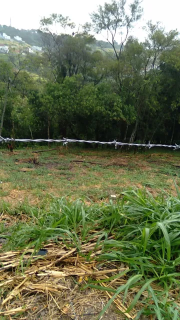 imagem 1 - TERRENO DE 1.241,26 M² NO BAIRRO RECANTO DOS EUCALIPTOS imagem 1 - TERRENO DE 1.241,26 M² NO BAIRRO RECANTO DOS EUCALIPTOS