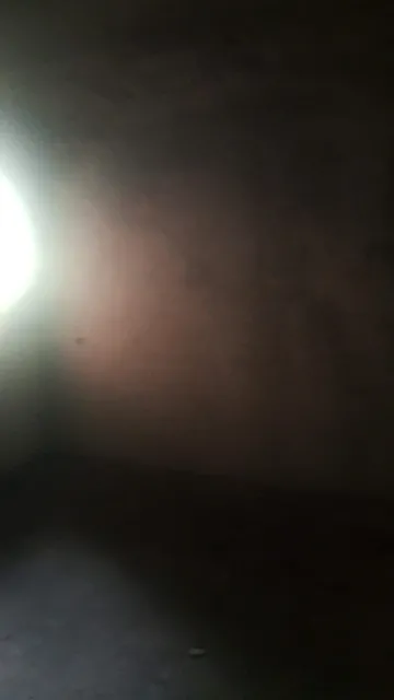 imagem 3 - EXCELENTE OPORTUNIDADE DE MORAR NA ZONA NORTE< CASA PARA REFORMA imagem 3 - EXCELENTE OPORTUNIDADE DE MORAR NA ZONA NORTE< CASA PARA REFORMA