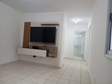 imagem 2 - Lindo apartamento de 2 dormitórios repleto de armários no Jardim Paineiras ll imagem 2 - Lindo apartamento de 2 dormitórios repleto de armários no Jardim Paineiras ll