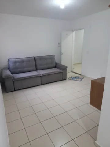 imagem 3 - Lindo apartamento de 2 dormitórios repleto de armários no Jardim Paineiras ll imagem 3 - Lindo apartamento de 2 dormitórios repleto de armários no Jardim Paineiras ll