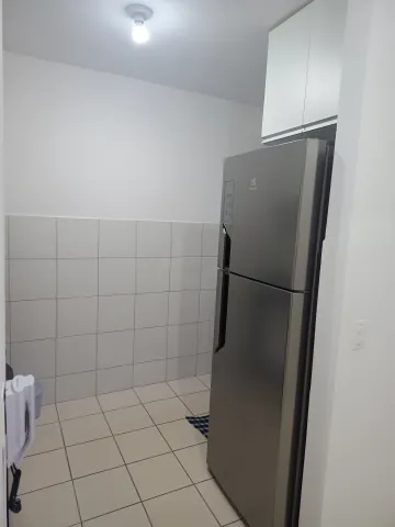 imagem 5 - Lindo apartamento de 2 dormitórios repleto de armários no Jardim Paineiras ll imagem 5 - Lindo apartamento de 2 dormitórios repleto de armários no Jardim Paineiras ll