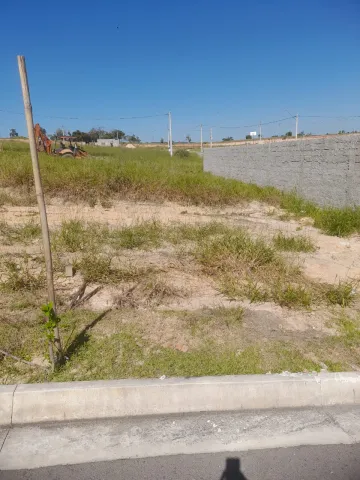 imagem 3 - TERRENO A VENDA - VILA AMÉLIA - ZONA SUL imagem 3 - TERRENO A VENDA - VILA AMÉLIA - ZONA SUL