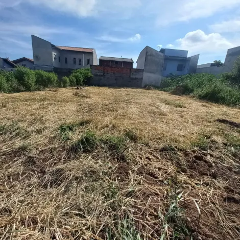 imagem 3 - terreno ótima rua plano ,pronto para construir ,próximo ao comércio . imagem 3 - terreno ótima rua plano ,pronto para construir ,próximo ao comércio .