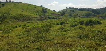 imagem 3 - -ÁREA RURAL PLANA JAMBEIRO - 900 METROS DA TAMOIOS imagem 3 - -ÁREA RURAL PLANA JAMBEIRO - 900 METROS DA TAMOIOS