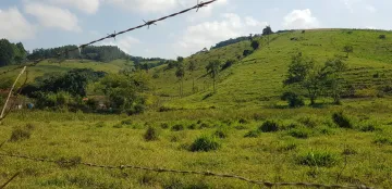 imagem 5 - -ÁREA RURAL PLANA JAMBEIRO - 900 METROS DA TAMOIOS imagem 5 - -ÁREA RURAL PLANA JAMBEIRO - 900 METROS DA TAMOIOS