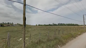 imagem 5 - ÁREA  TOTALMENTE PLANA PARA LOTEAMENTO NA RODOVIA FLORIANO RODRIGUES PINHEIRO - TREMEMBÉ imagem 5 - ÁREA  TOTALMENTE PLANA PARA LOTEAMENTO NA RODOVIA FLORIANO RODRIGUES PINHEIRO - TREMEMBÉ