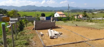 imagem 1 - Excelente área plana próximo a área militar e comercio - varias árvores frutíferas produzindo imagem 1 - Excelente área plana próximo a área militar e comercio - varias árvores frutíferas produzindo