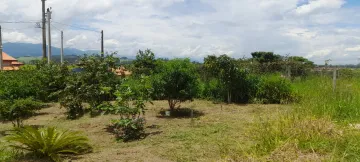 imagem 3 - Excelente área plana próximo a área militar e comercio - varias árvores frutíferas produzindo imagem 3 - Excelente área plana próximo a área militar e comercio - varias árvores frutíferas produzindo