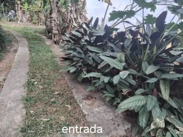 imagem 2 - Chácara com Potencial e Escritura no Bairro que Mais Cresce! imagem 2 - Chácara com Potencial e Escritura no Bairro que Mais Cresce!