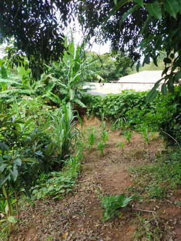 imagem 5 - -SAPUCAÍ MIRIM  - TERRENO - URBANO - 300 metros - MINAS GERAIS - imagem 5 - -SAPUCAÍ MIRIM  - TERRENO - URBANO - 300 metros - MINAS GERAIS -