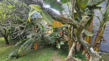 imagem 1 - SOBRADÃO COM 3 DM, 3 SUITES, PISO TABUA CORRIDA, JARDIM, DOCUMENTO OK imagem 1 - SOBRADÃO COM 3 DM, 3 SUITES, PISO TABUA CORRIDA, JARDIM, DOCUMENTO OK
