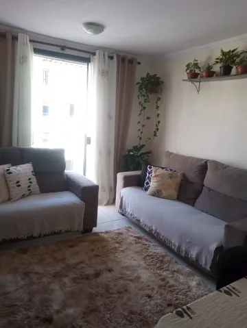 imagem 1 - Apto na zona Sul, condomínio residencial Primavera, diferenciado, todo reformado, 02 dormitorios, sol da manha imagem 1 - Apto na zona Sul, condomínio residencial Primavera, diferenciado, todo reformado, 02 dormitorios, sol da manha