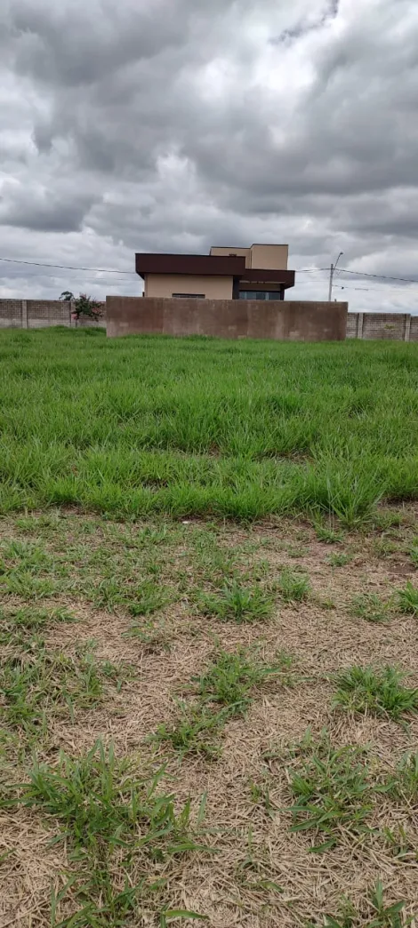 imagem 2 - Lote/Terreno à Venda, 250 m² por R$ 385.000 - VEREDA DOS CAMPOS imagem 2 - Lote/Terreno à Venda, 250 m² por R$ 385.000 - VEREDA DOS CAMPOS